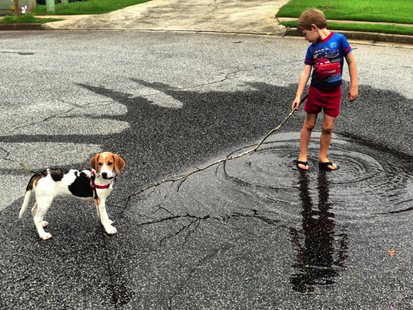 A picture of a boy and a dog