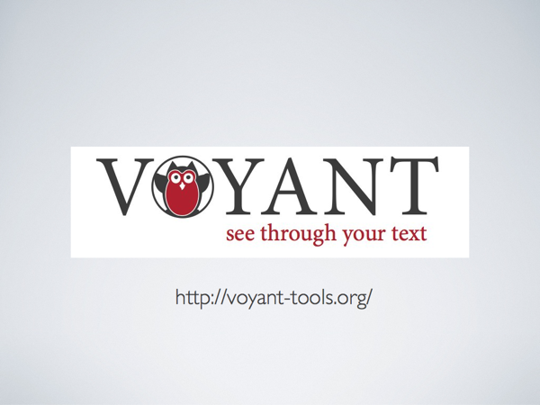 The logo for Voyant
