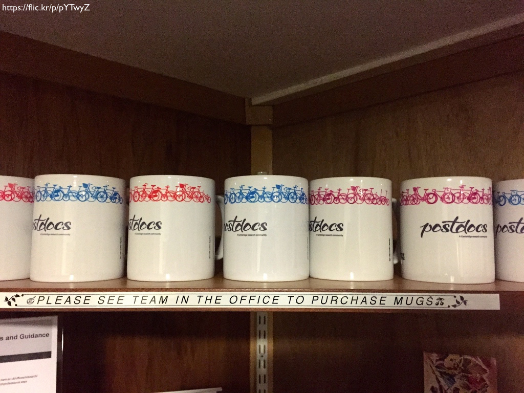 A shelf full of mugs that say 'postdocs.'